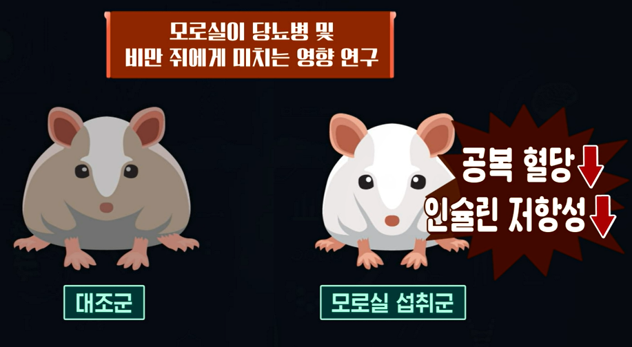 모로실