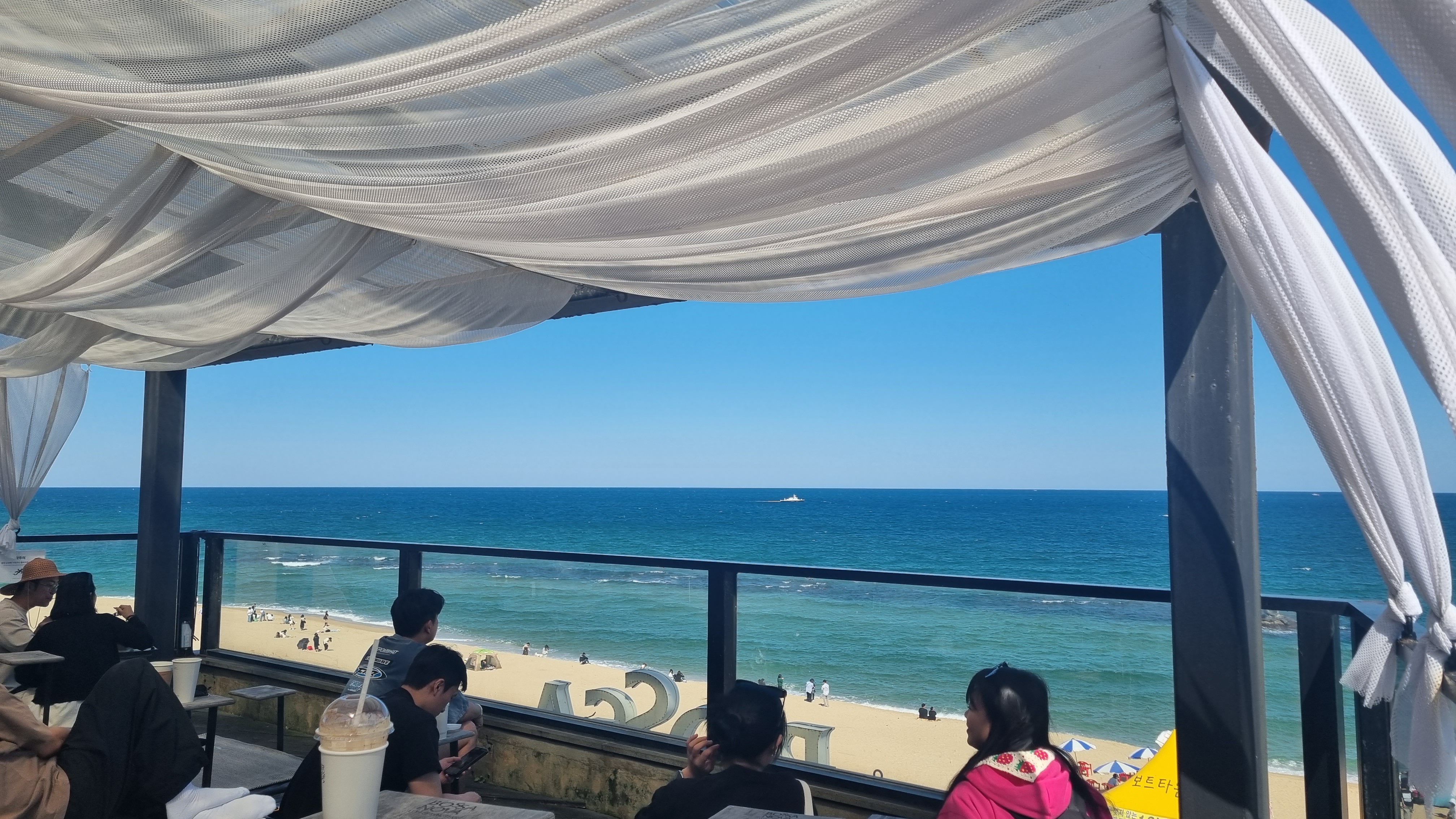 강릉 보사노바 - 카페 거리 카페 추천 애견 카페 안목 해변 가을 여행