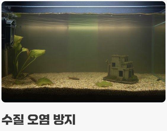 작은 입에 쏙! '먹이' 주는 요령