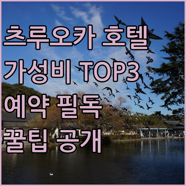 일본 츠루오카 호텔 예약 전 필독 가