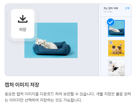 캡쳐프로그램 다운로드