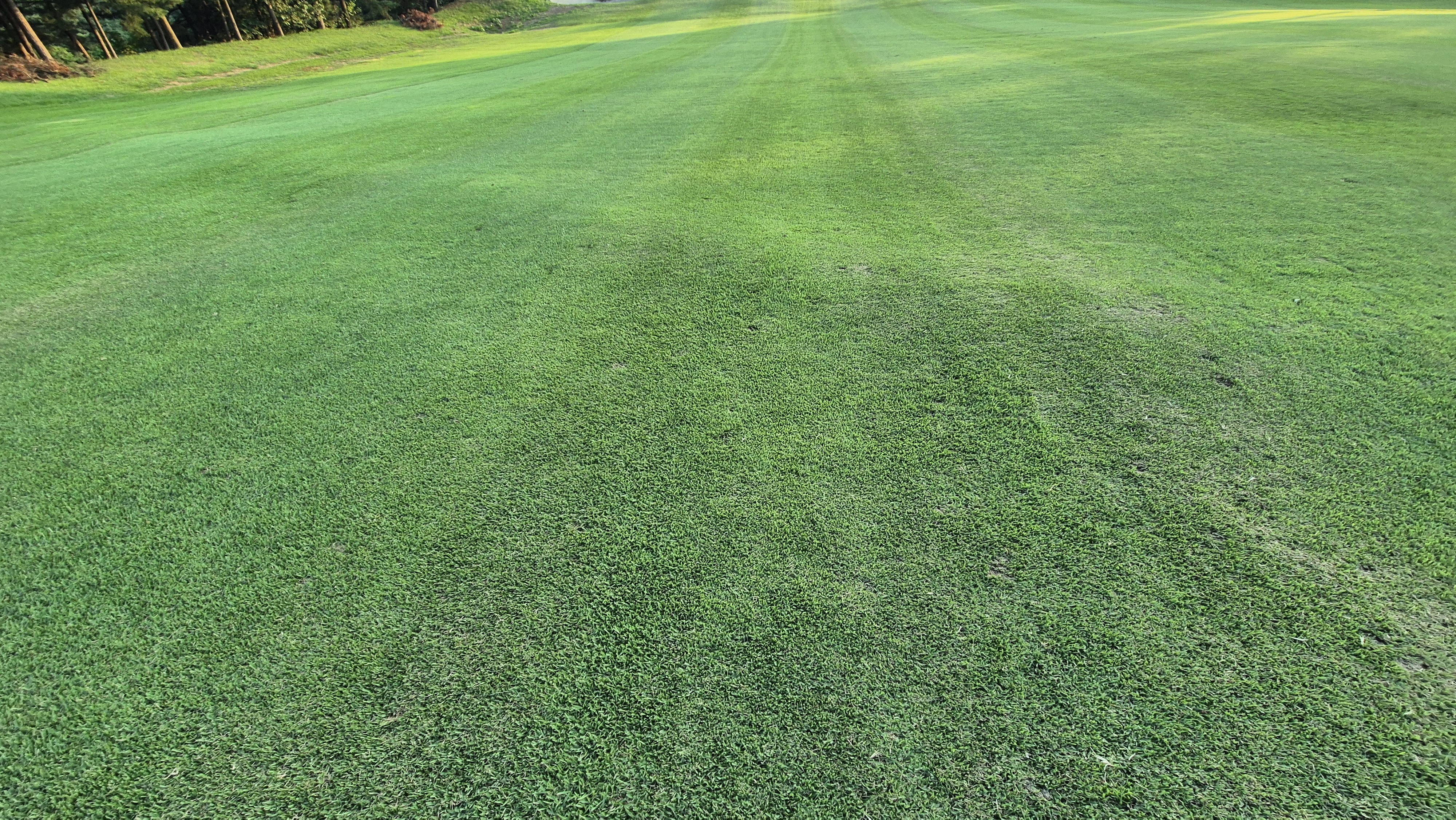 태광cc 북-서 코스 라운드 후기