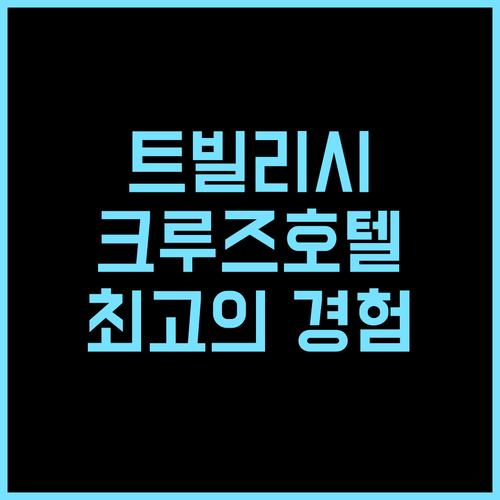 크루즈 호텔 트빌리시 추천 후기! 잊..