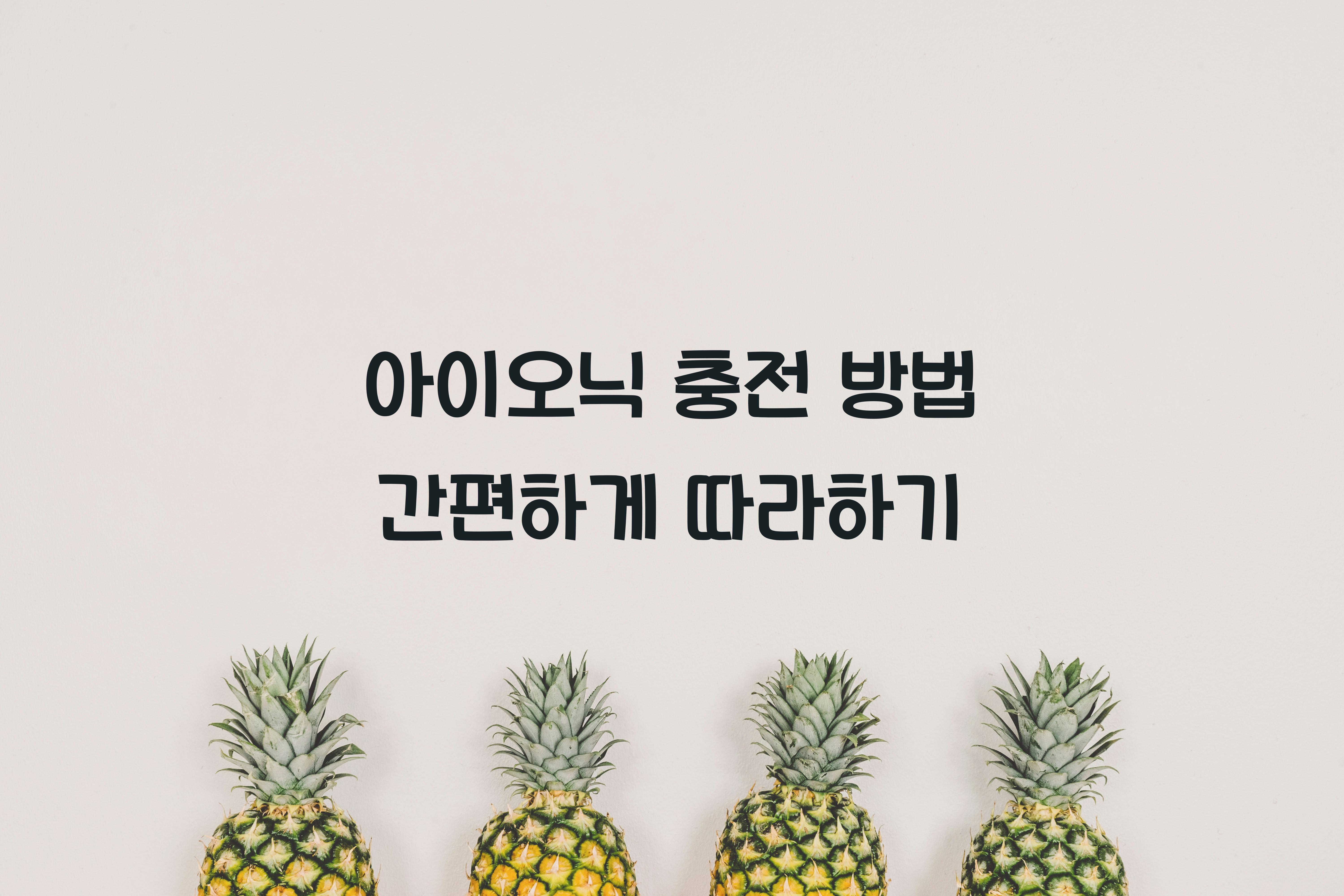 아이오닉 충전 방법