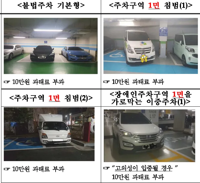 장애인 주차 위반 상세기준