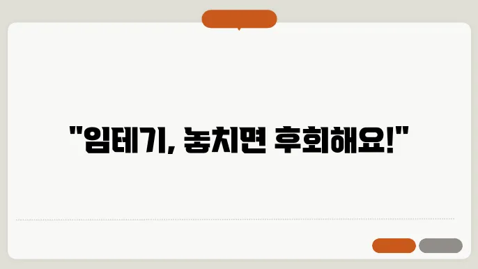 임테기 시기 언제? 기간? 정확히 알아보자.