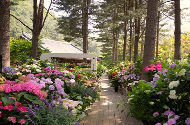 가평 가볼만한곳