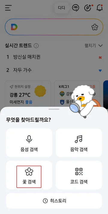식물이름찾기 어플