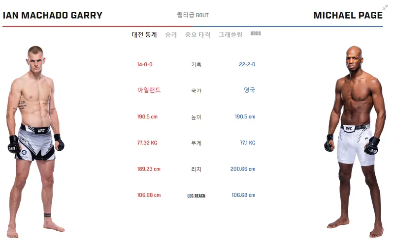 UFC 경기일정