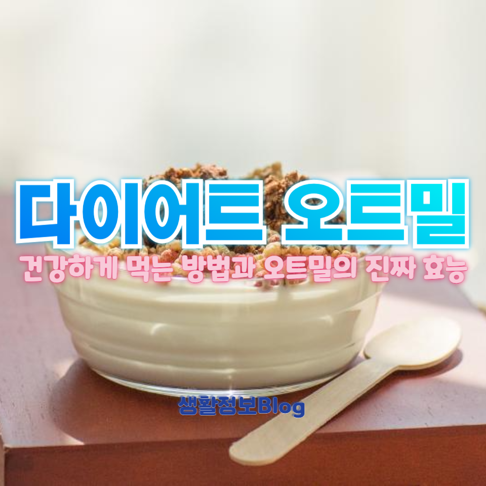 다이어트 오트밀