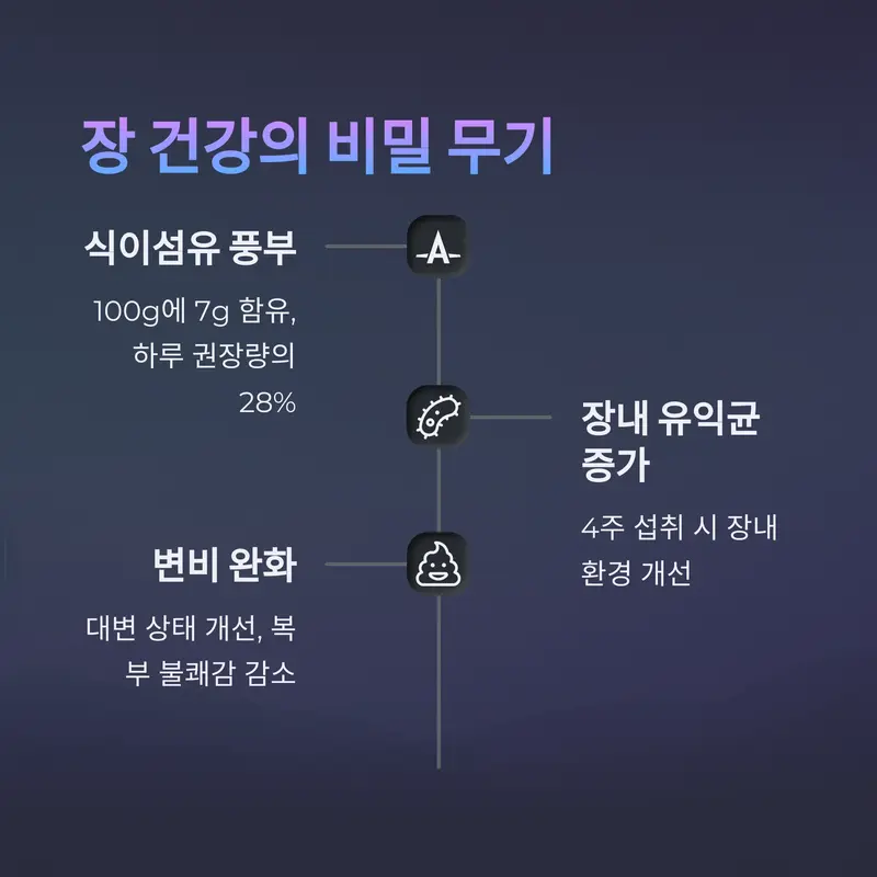 푸룬의 식이섬유와 장내 유익균 증가 효과 요약 이미지