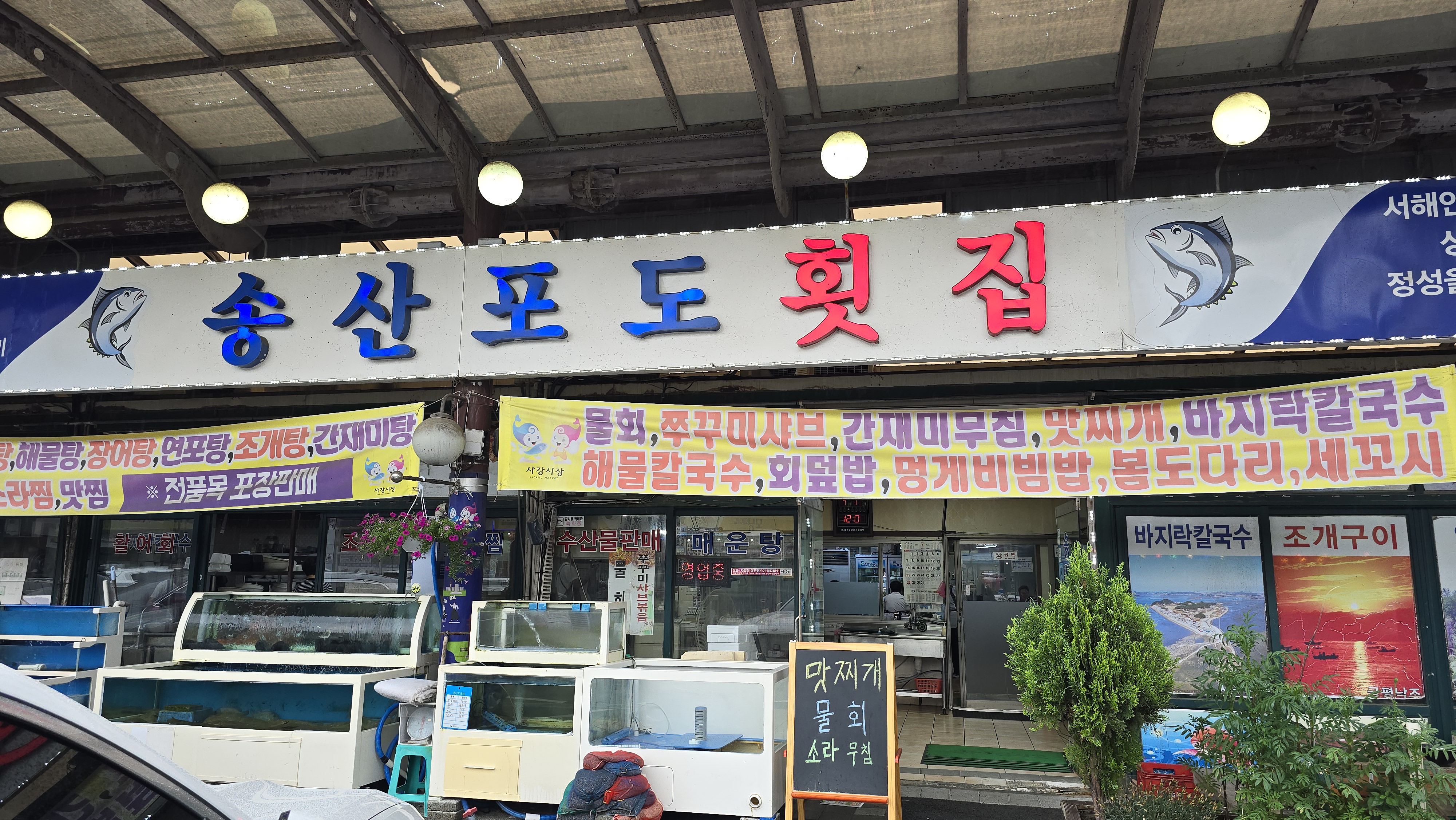 송산포도횟집