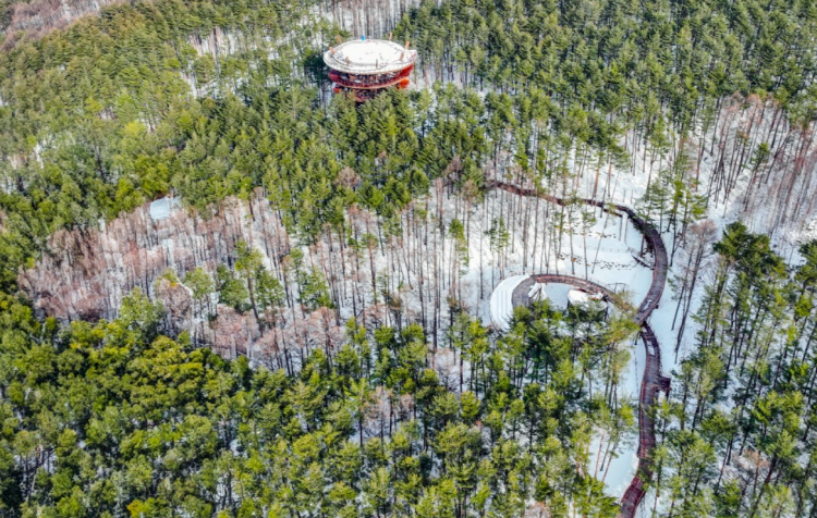 태백산 하늘전망대