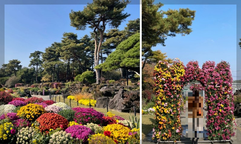 가을꽃행사 가을축제소개 및 일정 안내