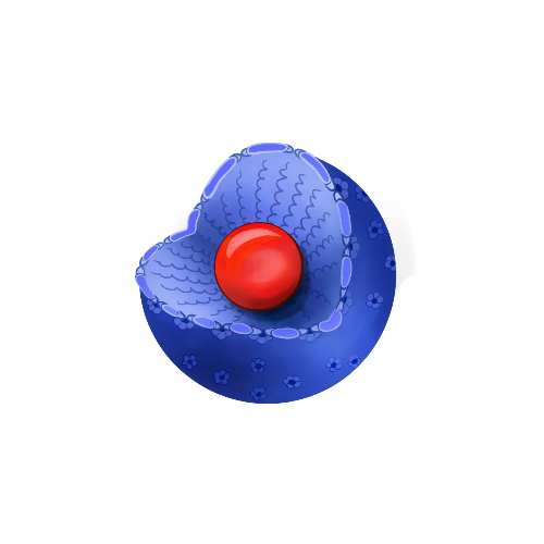 LIG넥스원 주가 전망 및 배당금 