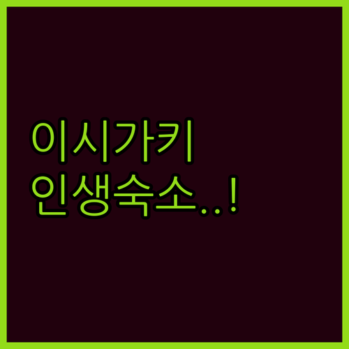 이시가키 숙소 추천 평점 높은 호텔 ..
