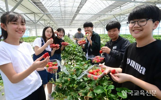 농업 교육 수강 농업기술센터 온라인 강좌 자격증 실습 정보_4