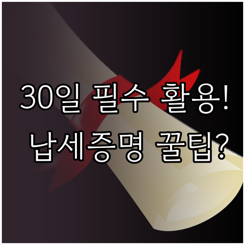 국세청 납세증명서 온라인 신청과 30..
