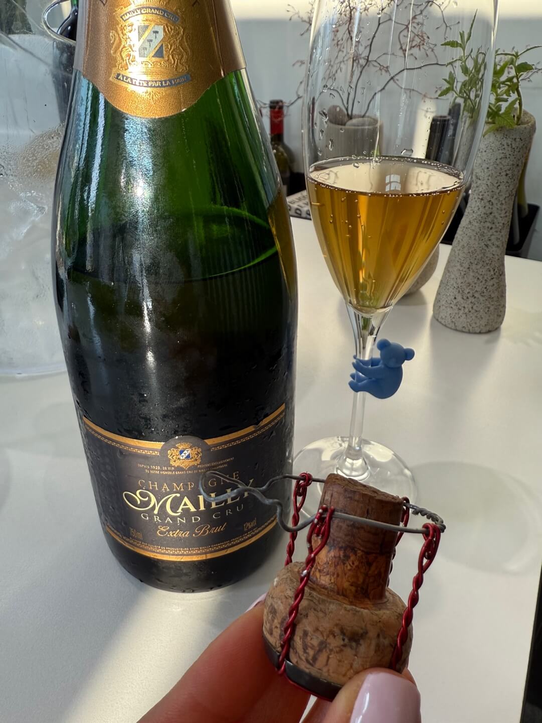 [France] Champagne Mailly Grand Cru Extra Brut, Montagne de Reims｜샴페인 마이 그랑 크뤼 엑스트라 브뤼, 몽타뉴 드 랭스