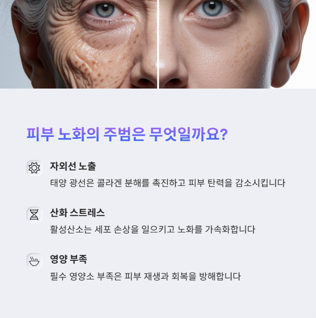 피부 노화의 원인과 그 영향