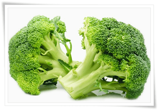 섬유질이 풍부한 브로콜리