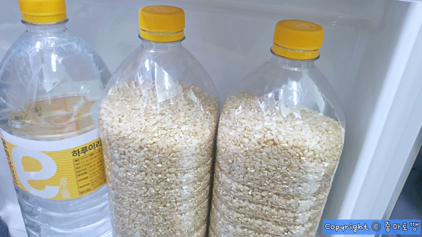 쌀-냉장고-보관