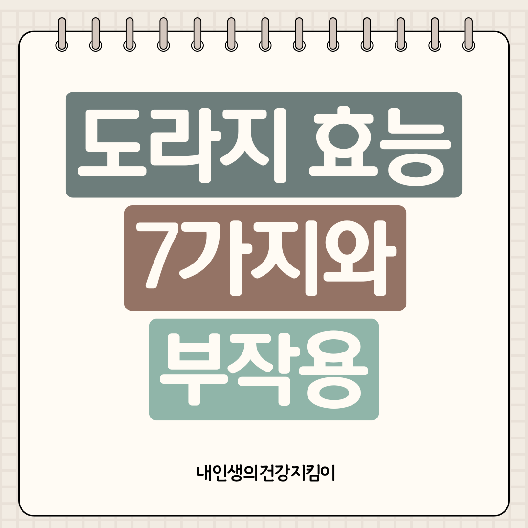 도라지 효능 7가지와 부작용, 60도 가열 시 사포닌 8배 증가하는 이유