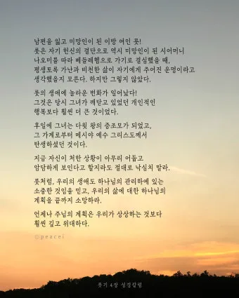 성경 룻기 4장 해설 보아스 룻 결혼 다윗 족보_10