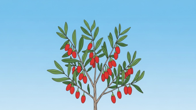 구기자 열매가 매달린 작은 나무 일러스트