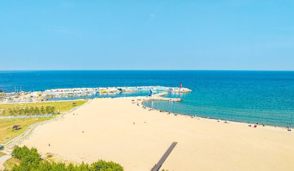 영덕 고래불해수욕장