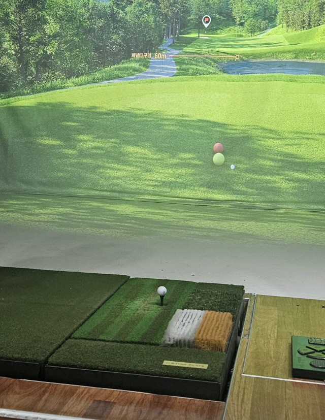 골프존(Golfzon) 스크린 골프
