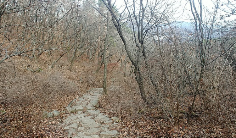 청계산 등산지도