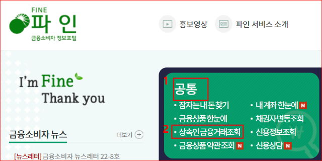 금융감독원 상속인 금융거래 조회