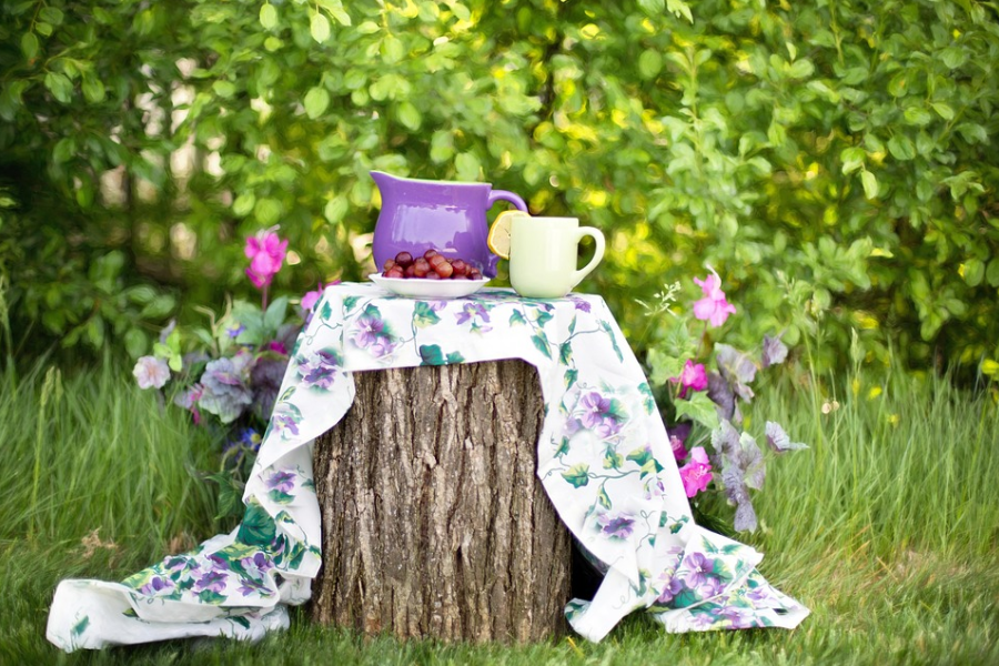 도시 속 작은 정원: 베란다 텃밭 &amp; 실내 식물 키우기