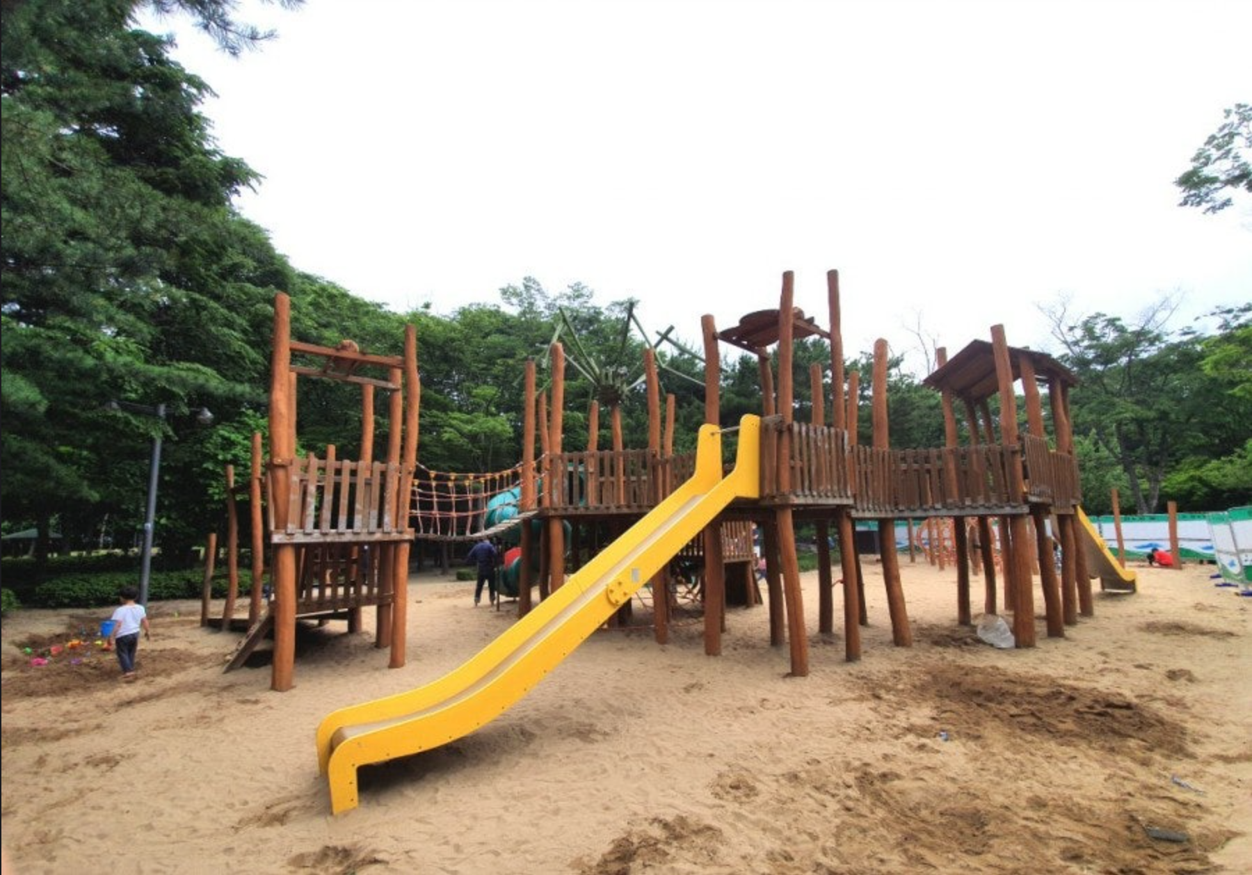 양재 시민의숲 자연 속 대형 모험 놀이터