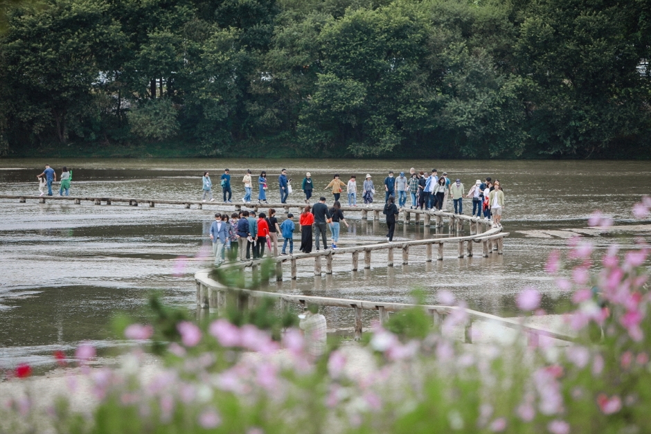 영주무섬외나무다리축제
