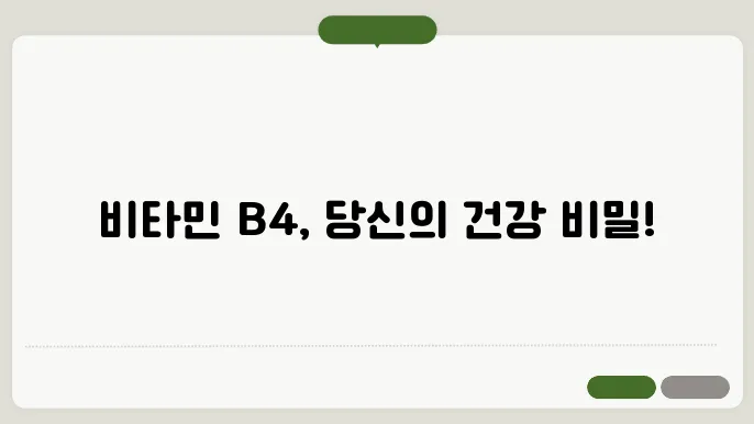 비타민 B4 효능