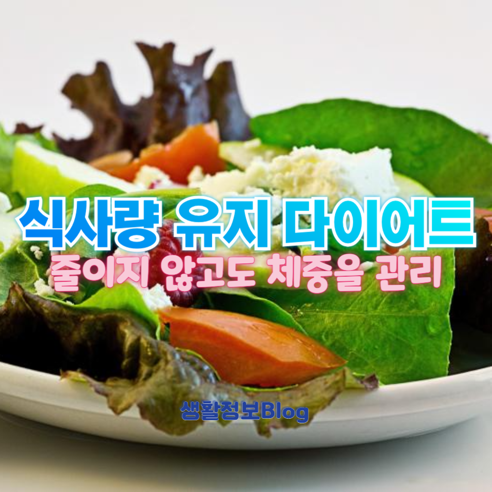 식사량 유지 다이어트