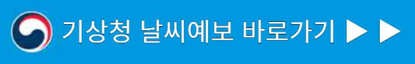 청춘페스티벌 취소