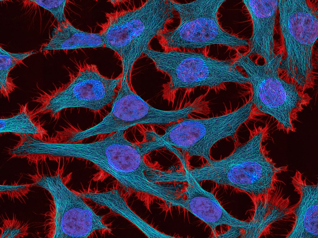Cervical cancer