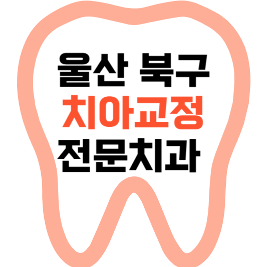 울산 북구 치아교정 치과 잘하는 곳 전문 치과 추천 가격 비용.png