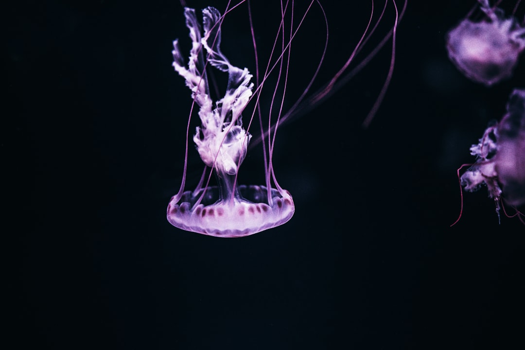 Regeneration