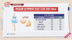 관절 건강 난각막가수분해물 효능 제품 비교