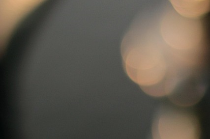 세대주 민생회복 소비쿠폰