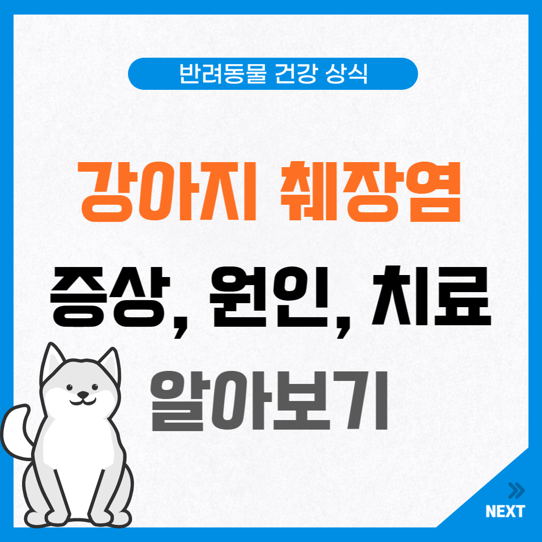 강아지 췌장염 증상, 원인, 치료