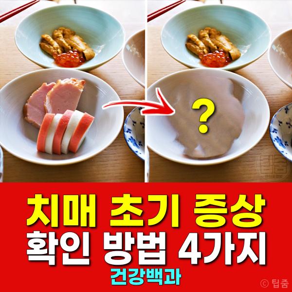 치매 초기 증상