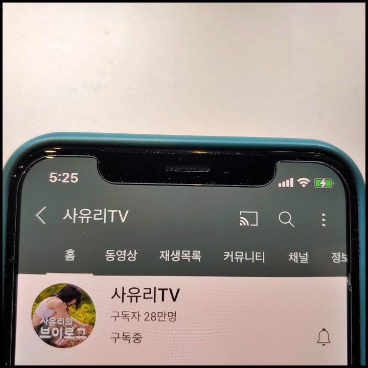 사유리-유튜브