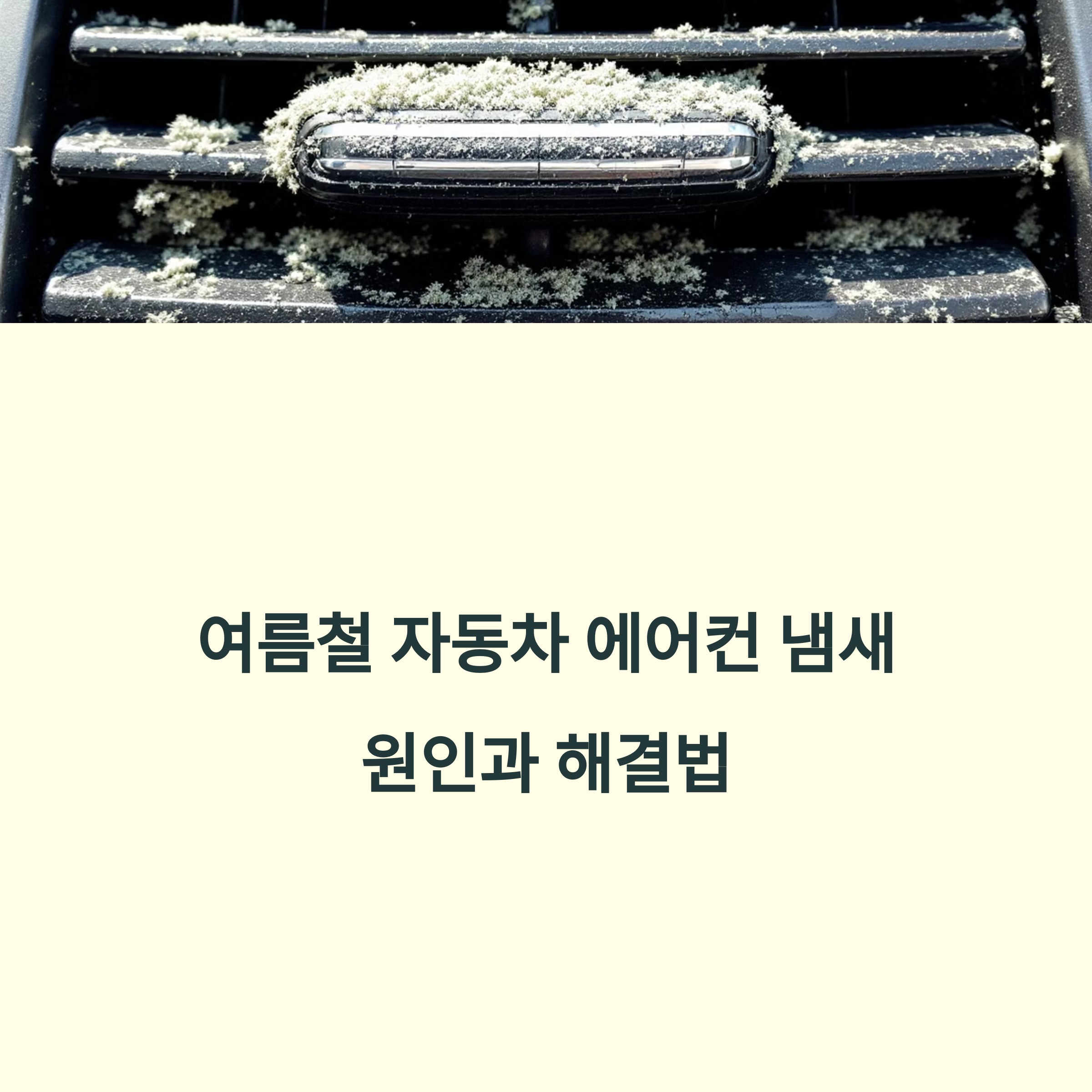 에어컨 냄새부터 송풍구 곰팡이까지, 여름철 차량 에어컨 청소 완전 가이드