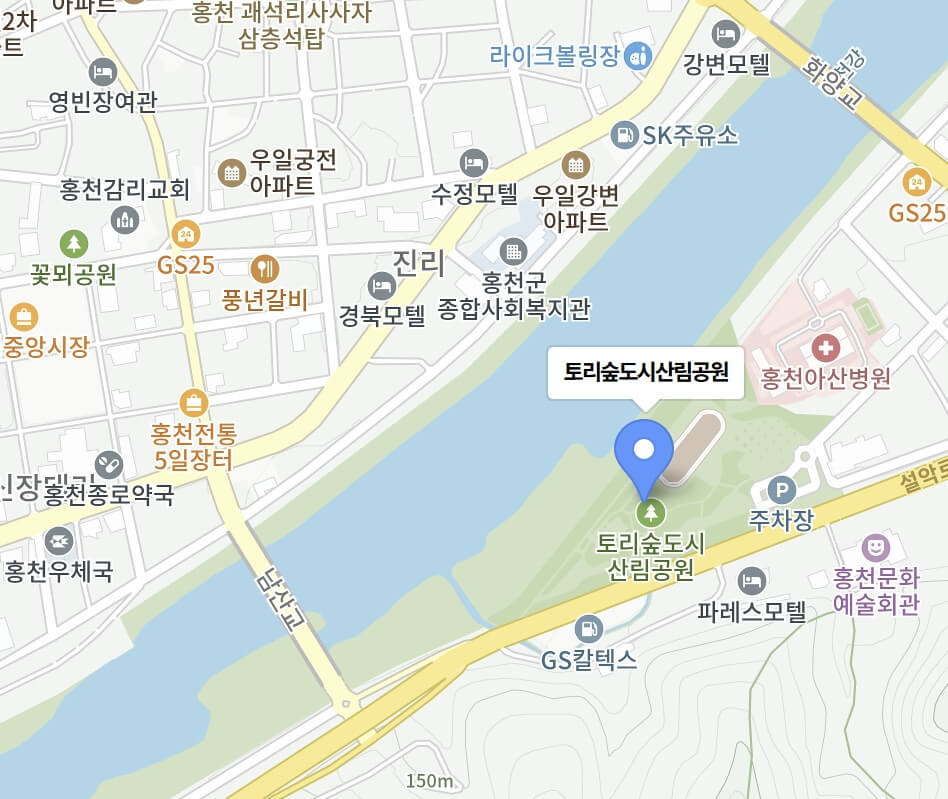홍천 산나물축제 2026