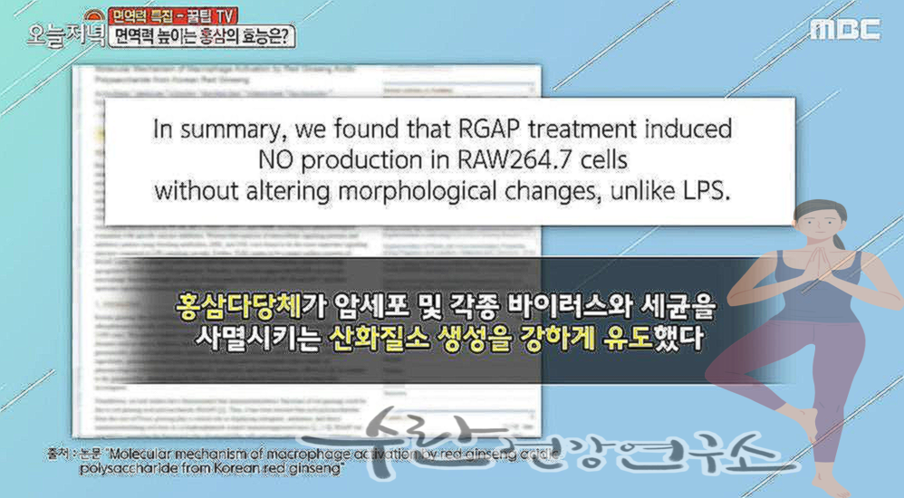 홍이장군 1단계 2단계 3단계